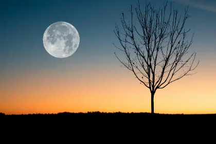 Full Moon Rituals: Kick Negativity to the Curb and Embrace Your Inner Zen Master