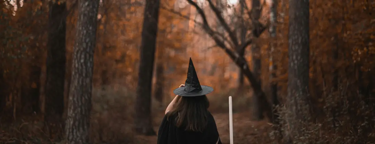 witch hat in the woods